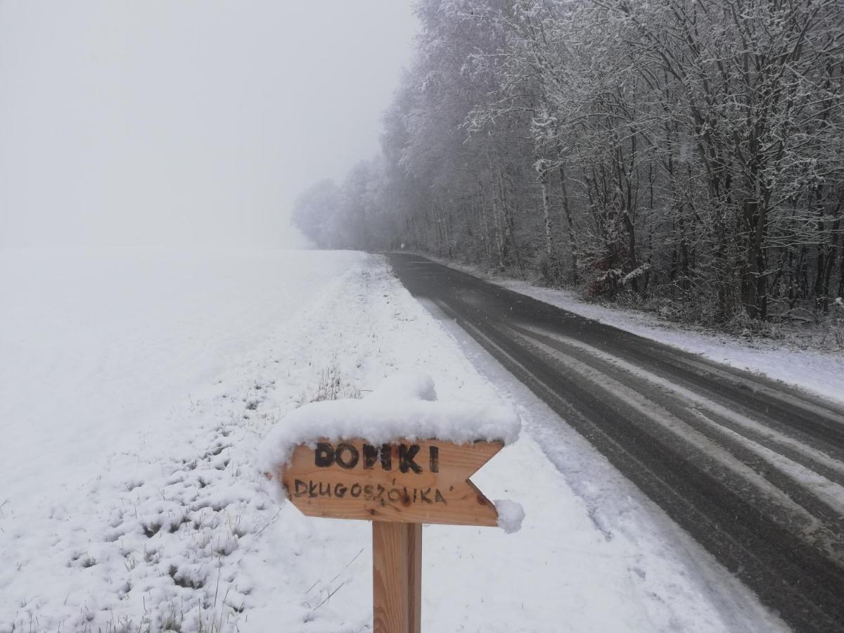 Domki Caloroczne Dlugoszowka Pod Rzeszowem Ruska Bania, Basen Villa Zaborow  Buitenkant foto