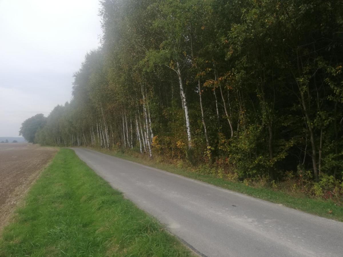 Domki Caloroczne Dlugoszowka Pod Rzeszowem Ruska Bania, Basen Villa Zaborow  Buitenkant foto