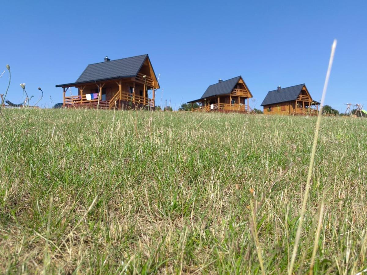 Domki Caloroczne Dlugoszowka Pod Rzeszowem Ruska Bania, Basen Villa Zaborow  Buitenkant foto