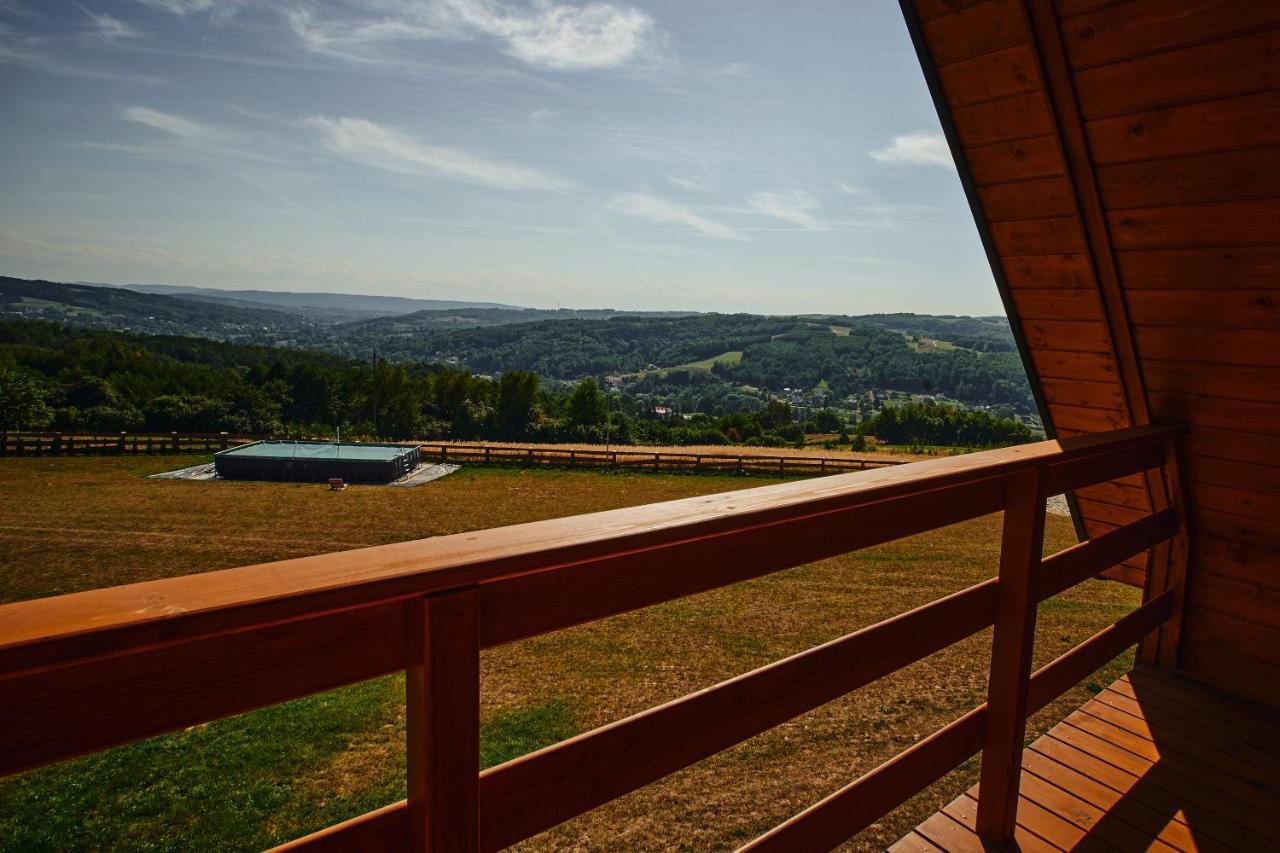 Domki Caloroczne Dlugoszowka Pod Rzeszowem Ruska Bania, Basen Villa Zaborow  Buitenkant foto