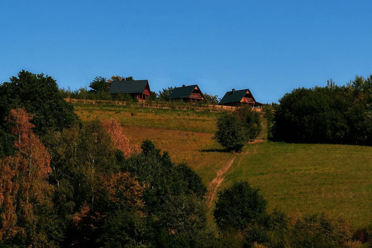 Domki Caloroczne Dlugoszowka Pod Rzeszowem Ruska Bania, Basen Villa Zaborow  Buitenkant foto