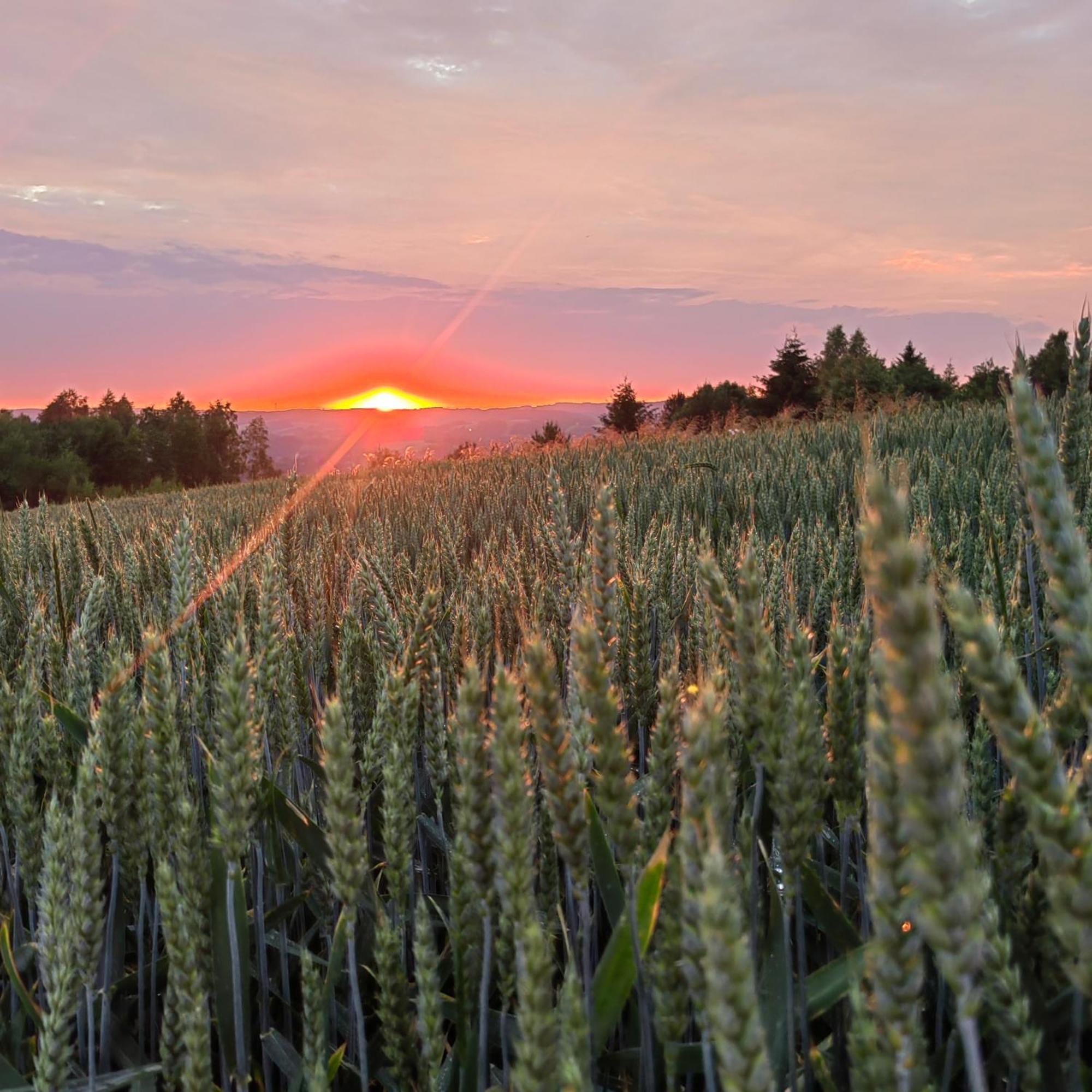 Domki Caloroczne Dlugoszowka Pod Rzeszowem Ruska Bania, Basen Villa Zaborow  Buitenkant foto