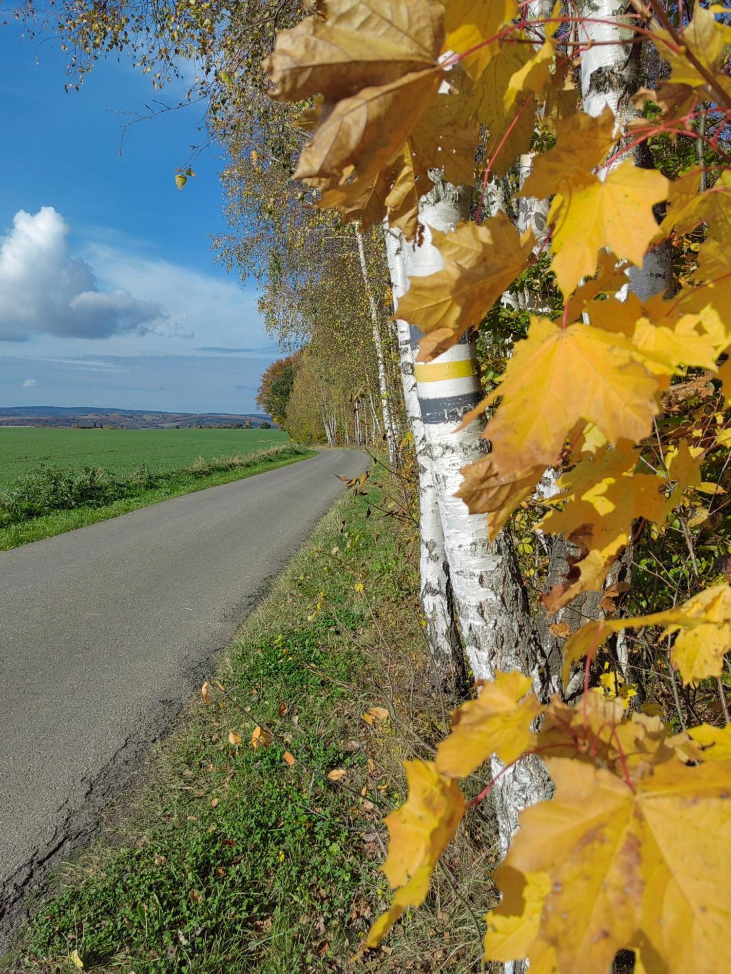 Domki Caloroczne Dlugoszowka Pod Rzeszowem Ruska Bania, Basen Villa Zaborow  Buitenkant foto